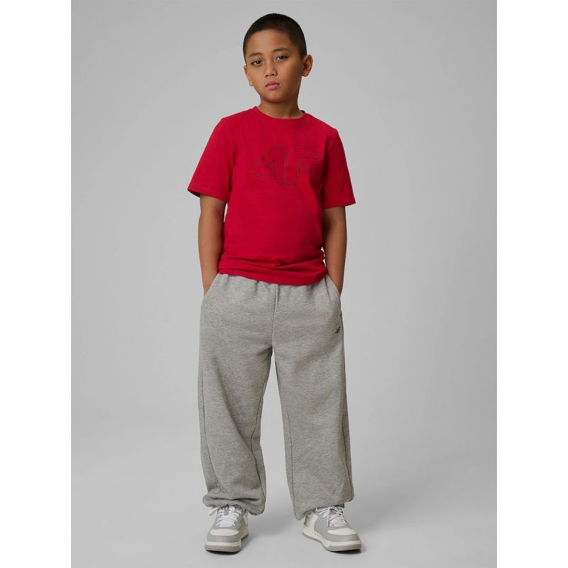 4F Boy's regular printed T-shirt póló