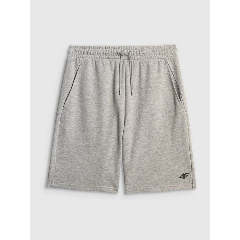 Men's sweatpants 4F