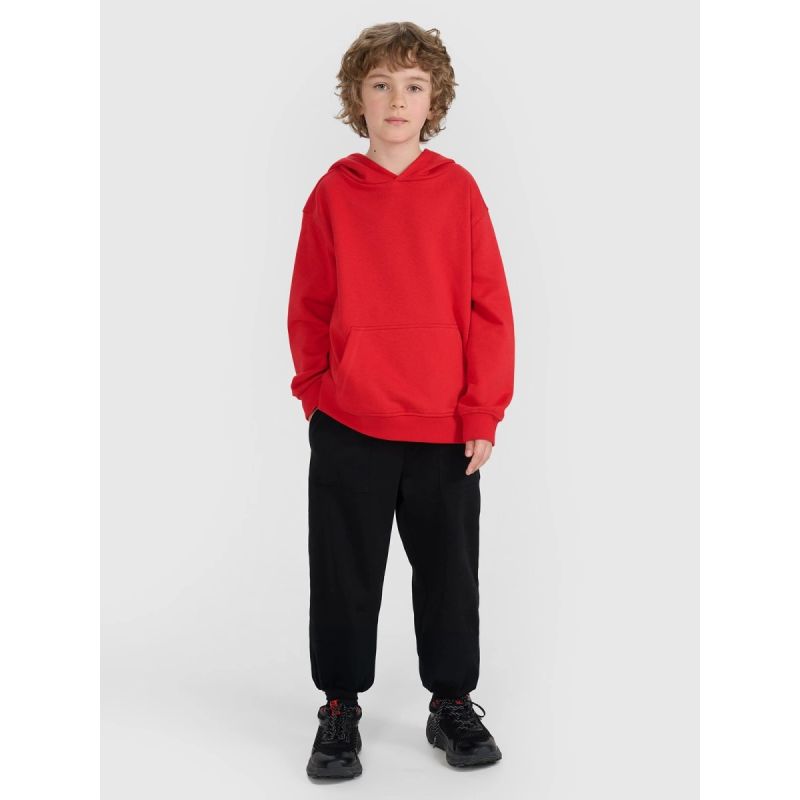 4f JUNIOR sweatshirt 4FJRAW25TSWSM2490-62S Egyéb