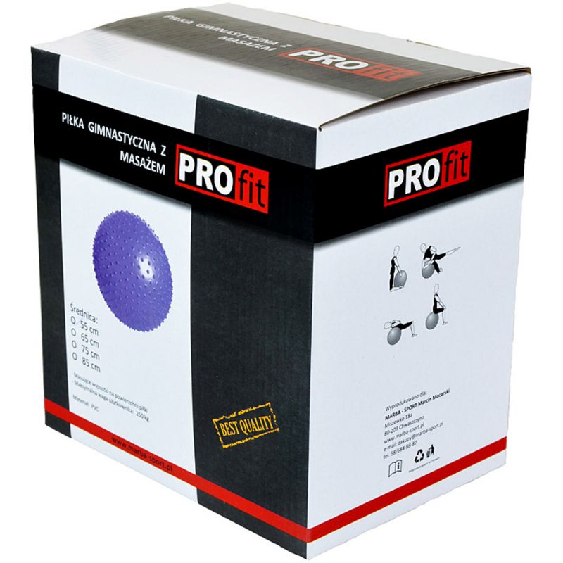 Inny PROFIT Gymnastics with Massage 55cm Purple DK 2104 Labda