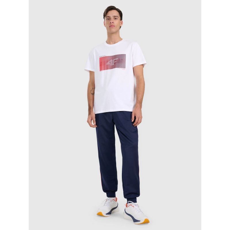 Men's regular printed T-shirt 4F 4FRAW25TTSHM3224-10S póló