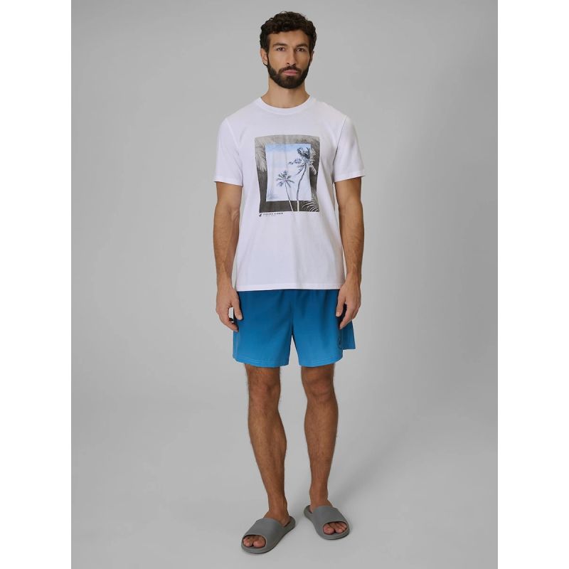 4F Men's regular printed T-shirt 3xl póló