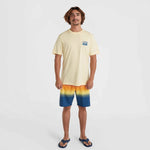 O'Neill Beach Graphic T-Shirt bézs póló