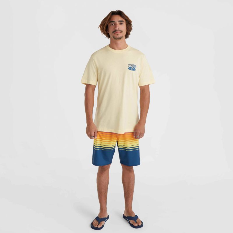 O'Neill Beach Graphic T-Shirt bézs póló