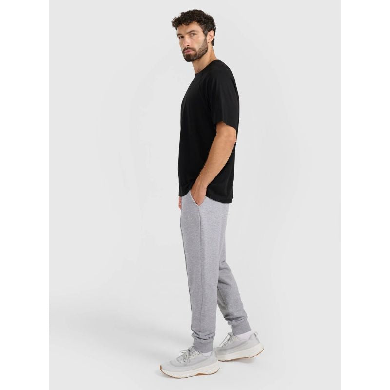 Men's jogger sweatpants 4F 4FRAW25TTROM1671-27M