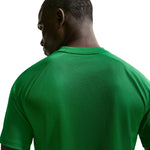 Men's Nike Dri-Fit Park VIII T-shirt green HV8173 zöld póló