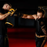 DBX Bushido Multi-layer boxing gloves - ProFighter Gold - Legacy Series bordeaux kesztyű