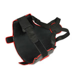 DBX Bushido DBX Guardian Torso Protector protectors and knee pads