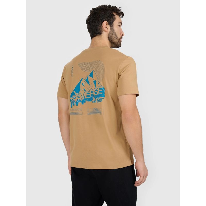 Men's regular printed T-shirt 4F 4FRAW25TTSHM3377-83S póló