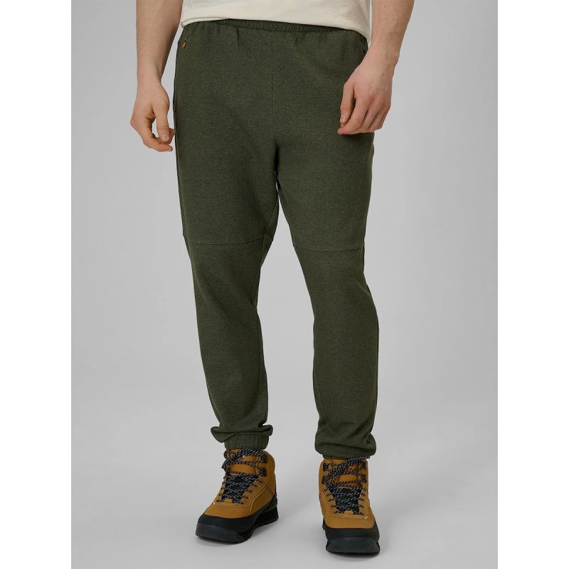 Men's jogger sweatpants 4F 4FRAW25TTROM1691-43M nadrág