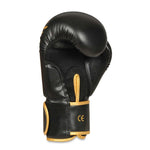 DBX Bushido 8oz Boxing Gloves - Hawk - Origin Series kesztyű