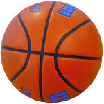 Wilson Evolution 295 Game Basketball Size balls