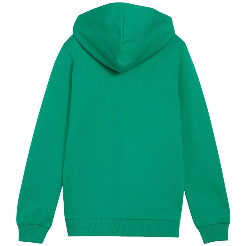 Puma teamGoal Casuals Hooded Kids' Sweatshirt Green 658596 05 General