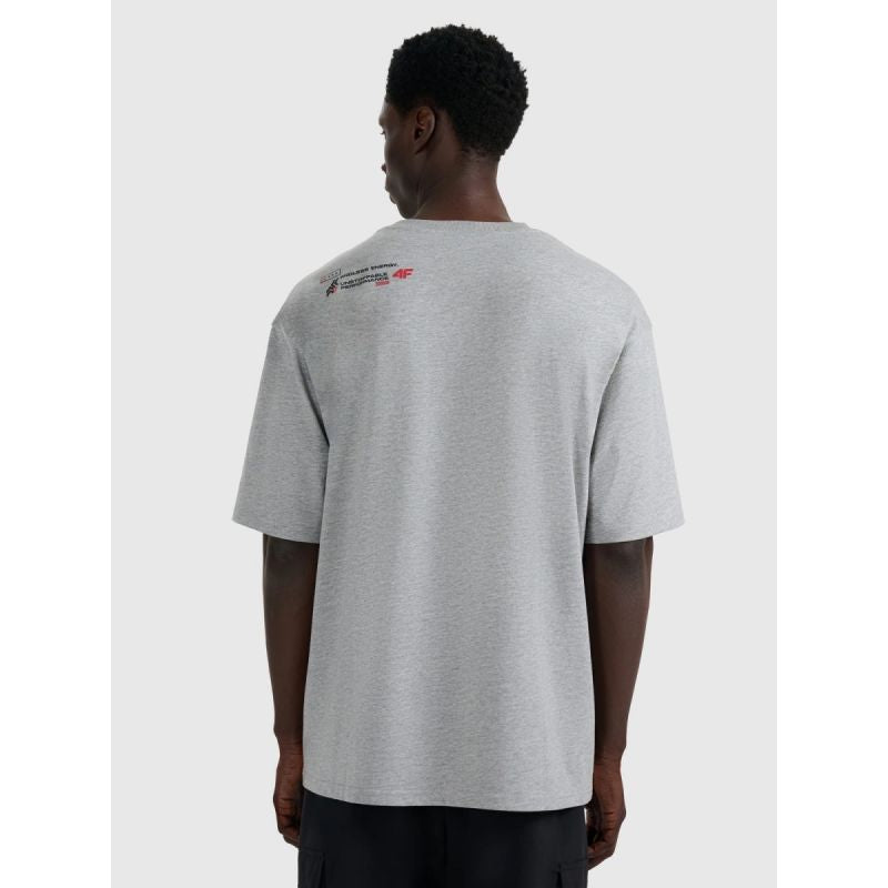 Men's oversize printed T-shirt 4F 4FRAW25TTSHM3257-27M
