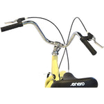 24-Inch Vanilla 3-Wheel Bike 1-Speed