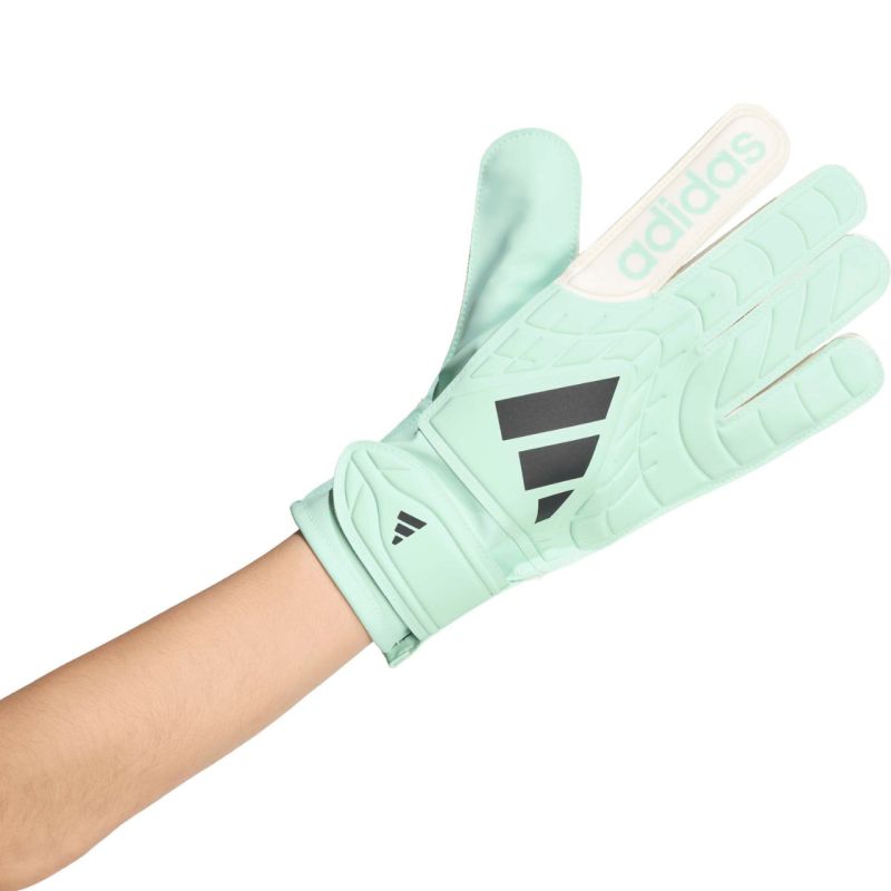 Adidas Copa Club Goalkeeper Gloves Mint and White fehér kesztyű KE9730