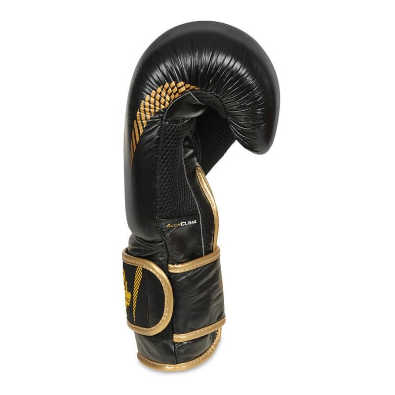 DBX Bushido 10oz Boxing Gloves - Aureos - Valor Series kesztyű
