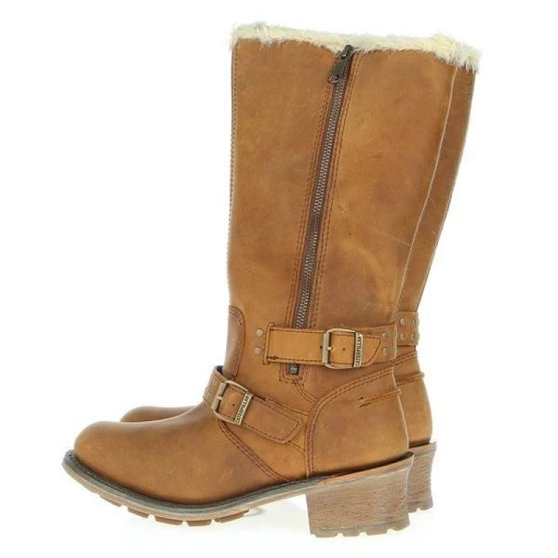 Caterpillar Florencia P307109 Winter Boots General