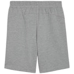 Puma teamGOAL Casuals Shorts