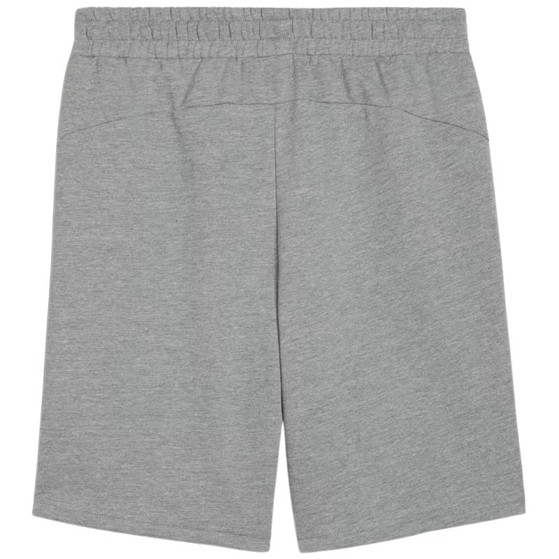 Puma teamGOAL Casuals Shorts