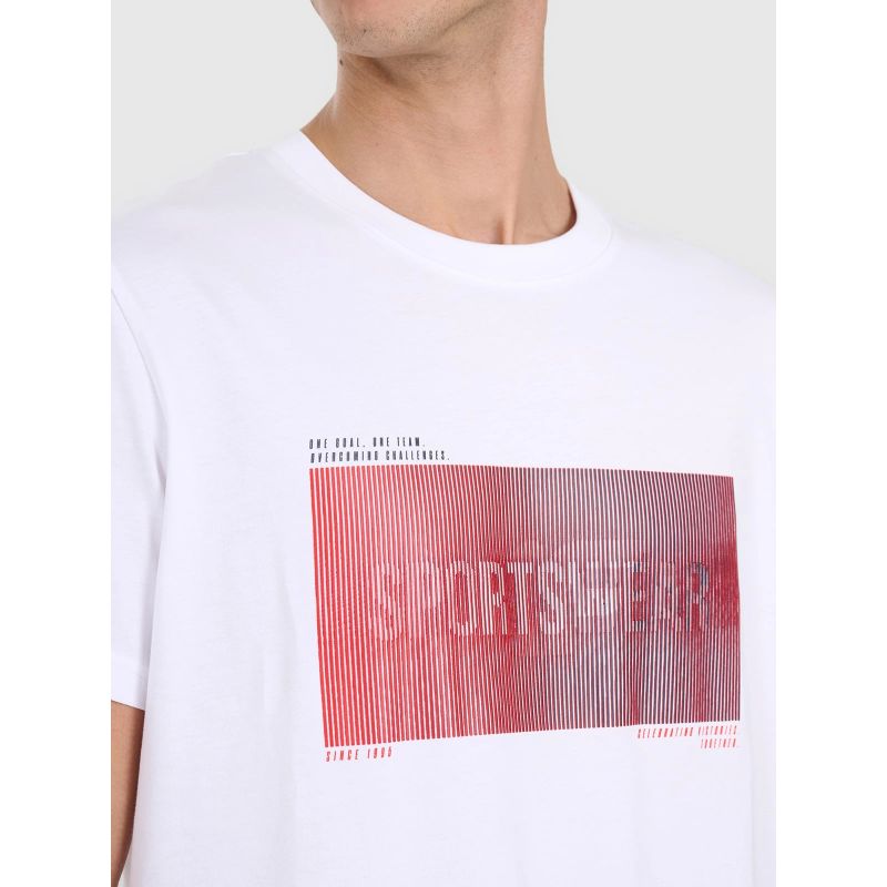 Men's regular printed T-shirt 4F 4FRAW25TTSHM3224-10S póló