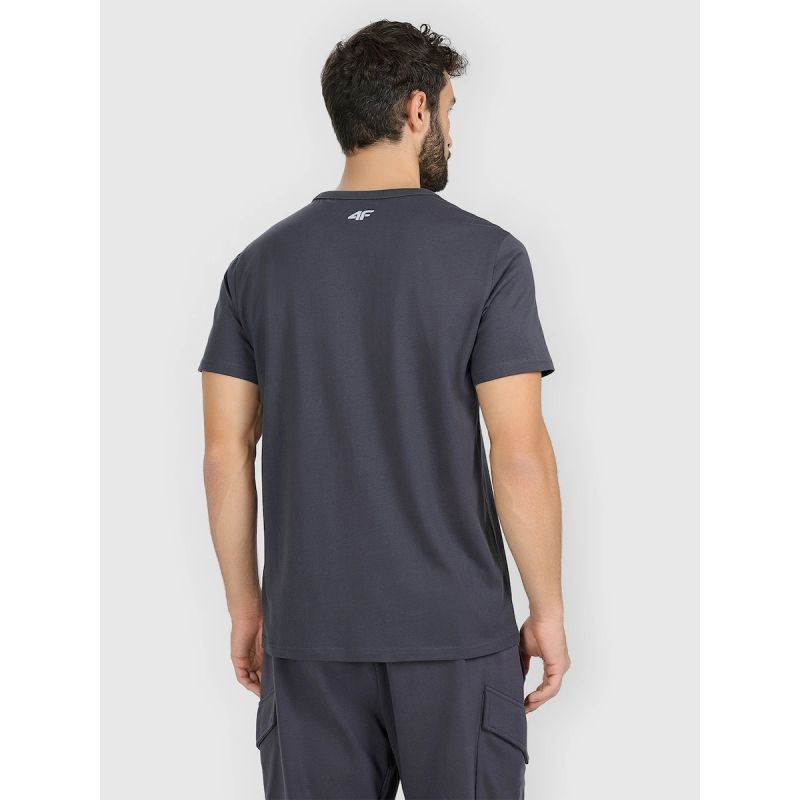 Men's regular printed T-shirt 4F 4FRAW25TTSHM3845-22S póló