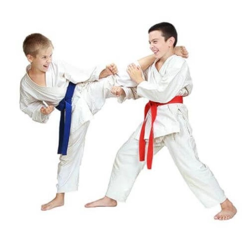 DBX Bushido Karate kimono for children + free belt - ARK-3102 kimonos, sachets, belts, bags