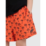Boys' boardshorts 4F 4FJRSS25UBDSM183-70S 158/164 short
