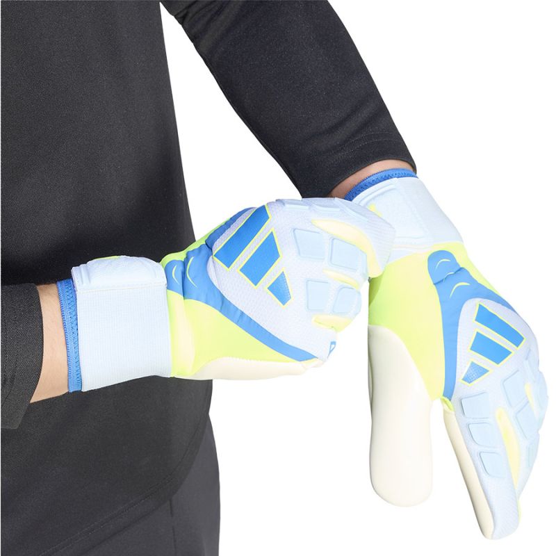 Kép alternatív szöveg