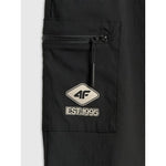 Men's casual joggers 4F