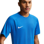 Nike Dri-Fit Park VIII Men's T-Shirt HV8173 kék póló