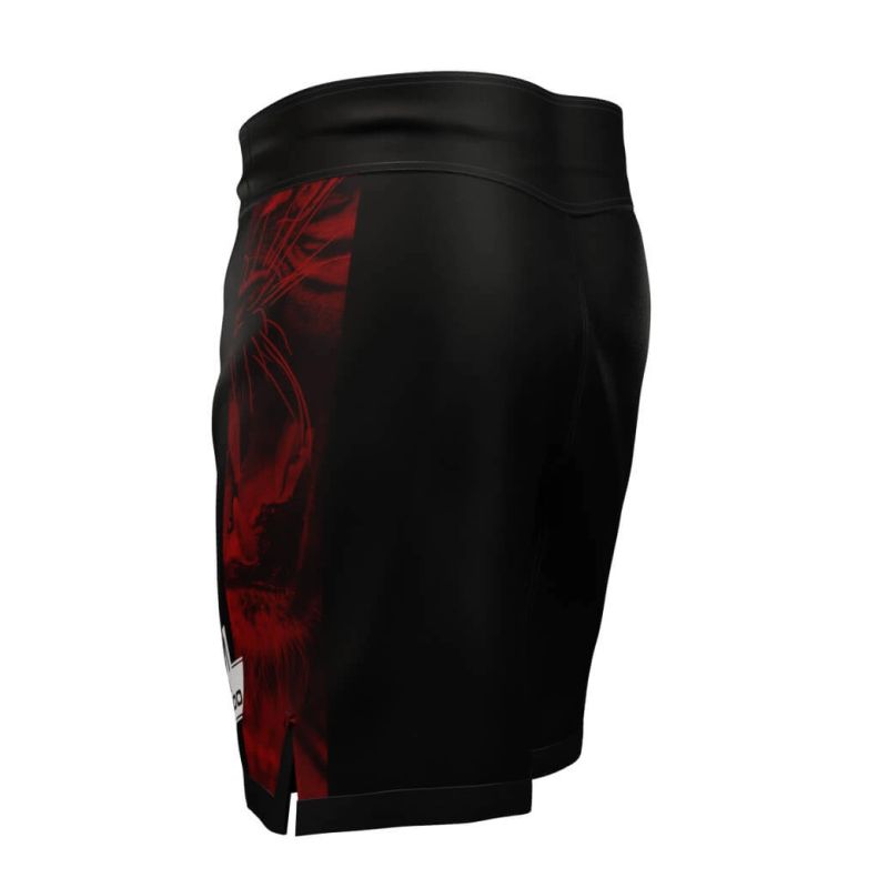 DBX Bushido Shorts - training for combat sports "Leone" short s-leone-m