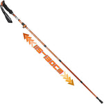 Enero Nordic Walking Trip Poles In Pro Case sticks