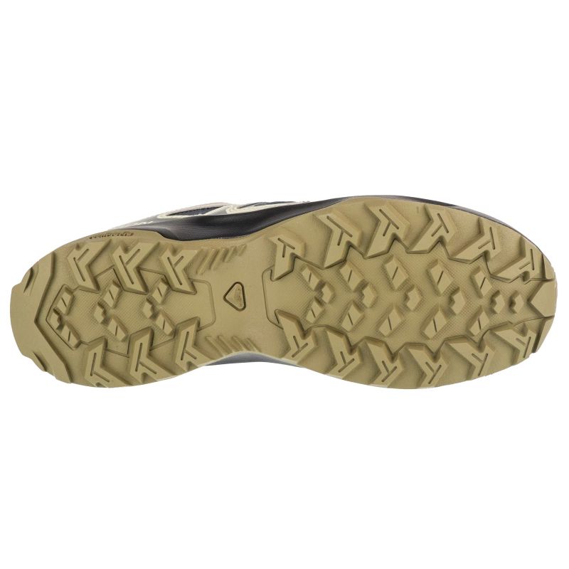 Salomon Extegra Gtx M L47799800 Shoes