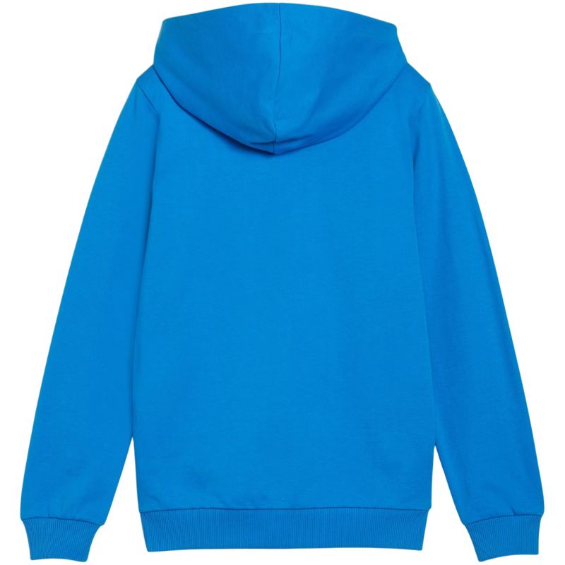 Puma teamGoal Casuals Hooded Jr sweatshirt 658596 02 Pulóver