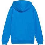 Puma teamGoal Casuals Hooded Jr sweatshirt 658596 02 Pulóver