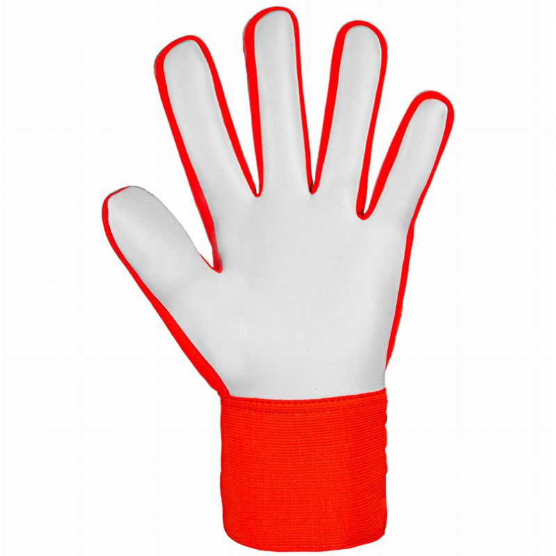Reusch Attrakt Starter Solid Jr goalkeeper gloves 5472514 2210 Kesztyű