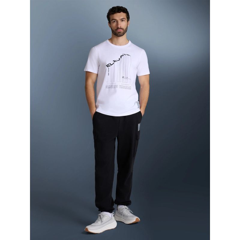 Men's regular printed T-shirt 4F 4FRAW25TTSHM3845-10S póló
