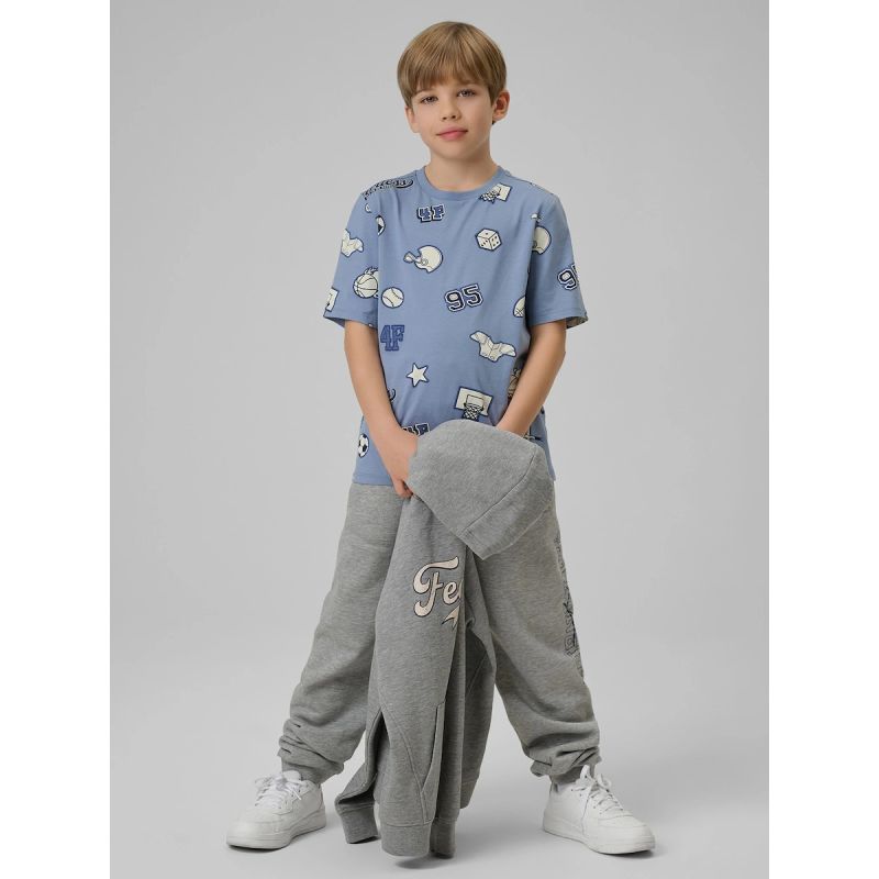 Boy's regular printed T-shirt 4F 4FJRSS26TTSHM3466-32A shirts