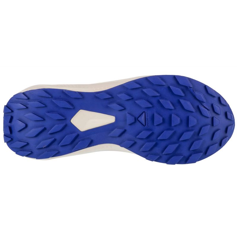 Salomon Alphaglide W L47801800 Running Shoes