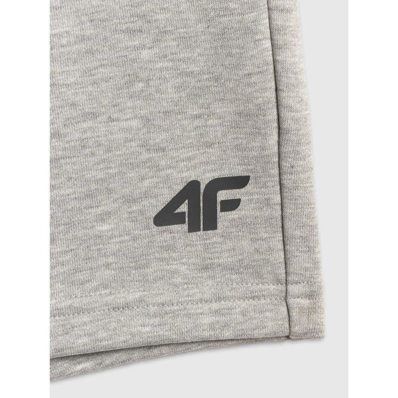 Men's sweatpants 4F