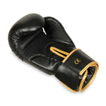 DBX Bushido 8oz Boxing Gloves - Hawk - Origin Series kesztyű