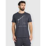 Men's regular printed T-shirt 4F 4FRAW25TTSHM3845-22S póló