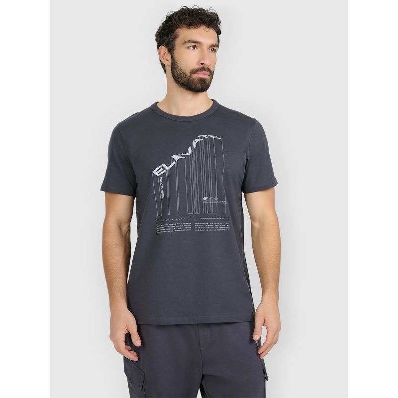 Men's regular printed T-shirt 4F 4FRAW25TTSHM3845-22S póló