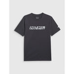 Men's regular printed T-shirt 4F 4FRAW25TTSHM3384-22S póló