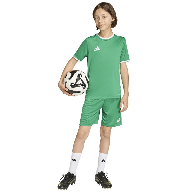 adidas Entrada 26 JZ6530 kids' short