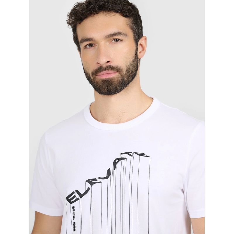 Men's regular printed T-shirt 4F 4FRAW25TTSHM3845-10S póló