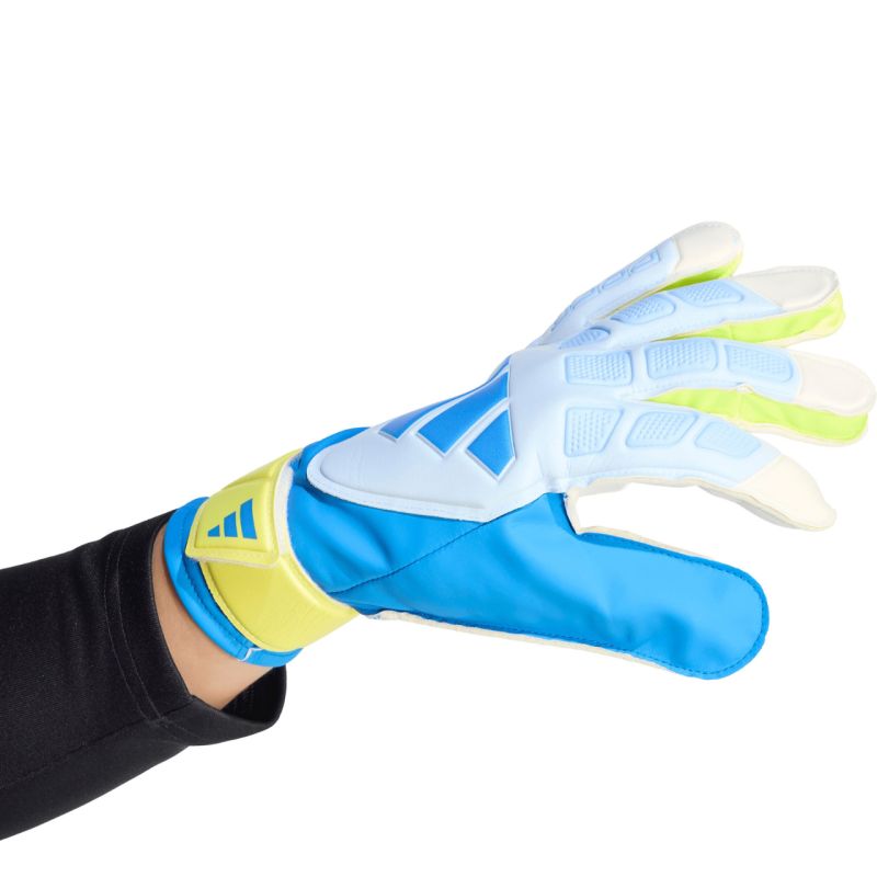 Kép alternatív szöveg