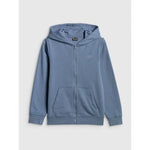 Boy's regular hooded sweatshirt 4F 4FJRSS26TSWSM2749-32S sweatshirts