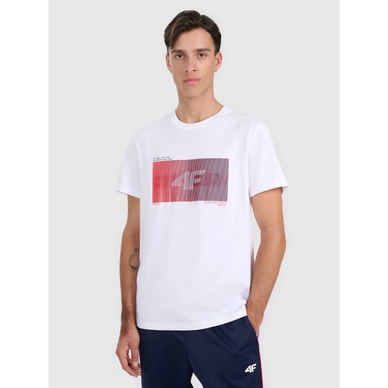 Men's regular printed T-shirt 4F 4FRAW25TTSHM3224-10S póló